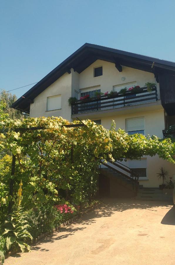 Ferienwohnung Eko Kmetija Gerbec Grahovo Exterior foto