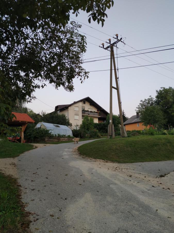 Ferienwohnung Eko Kmetija Gerbec Grahovo Exterior foto